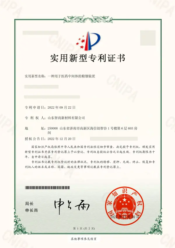 Patent Certificate 1